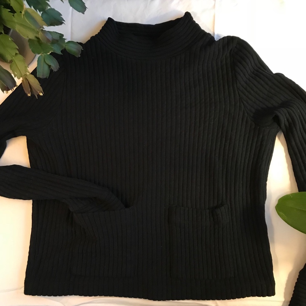Zara Trafaluc Cropped Minimalist Sweater
